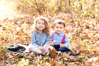 Stella & Henry Fall 2019